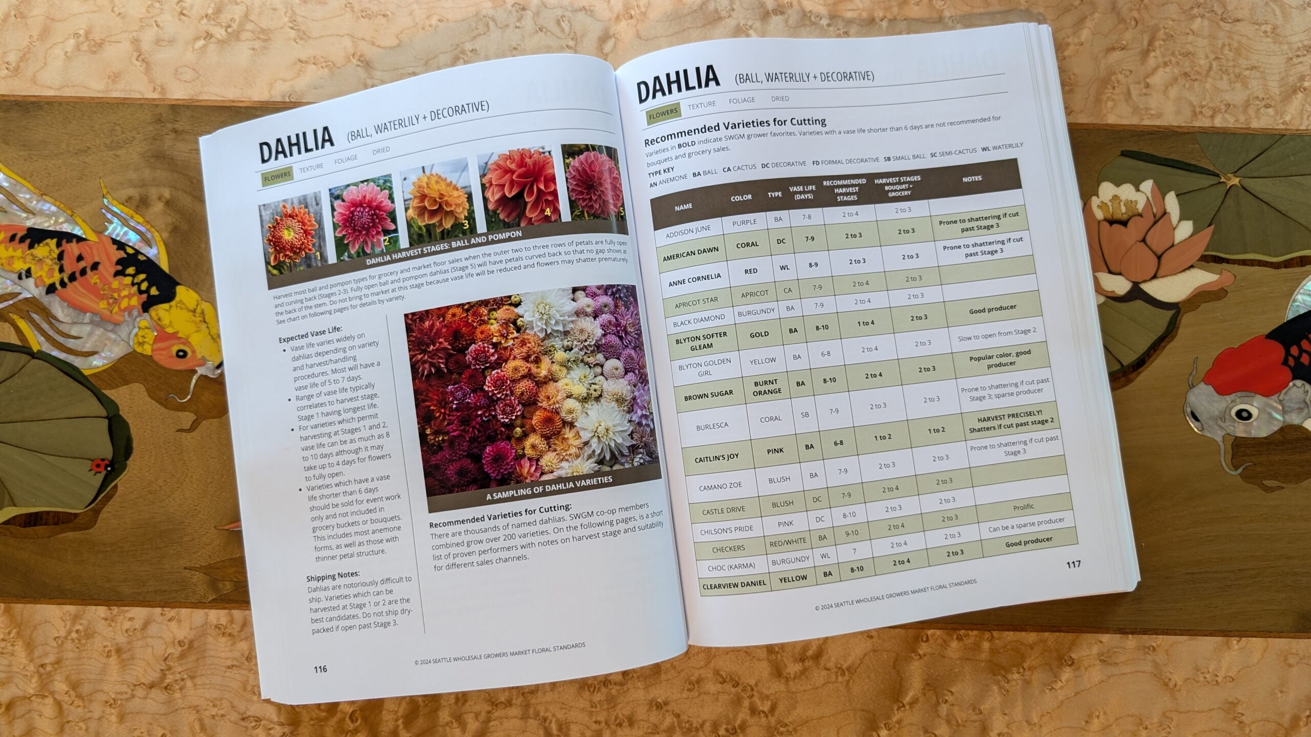 Floral Standards book opened to dahlia specifications